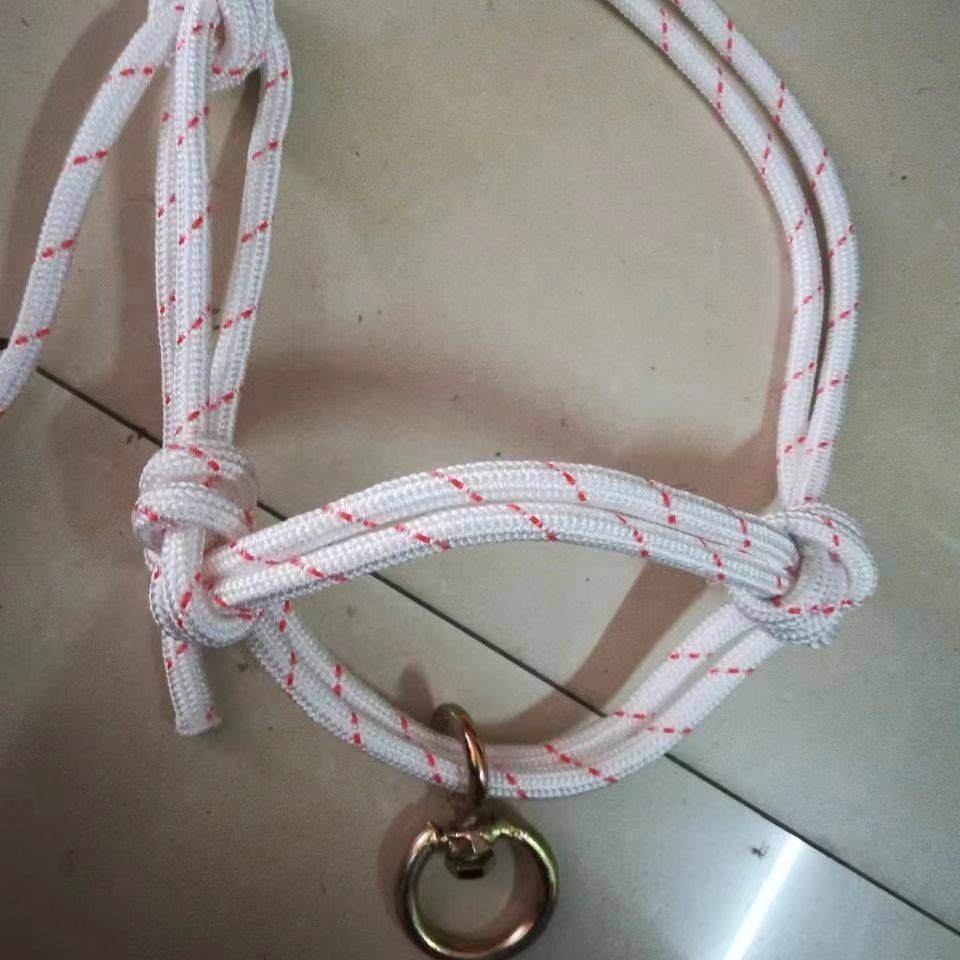 12mm transport ring